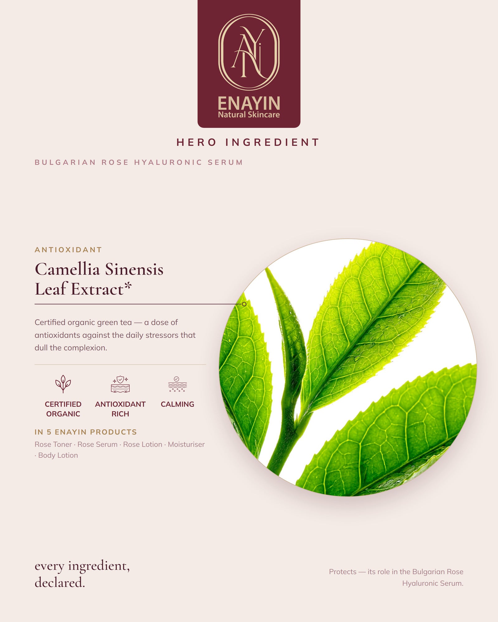Rose Hyaluronic Serum