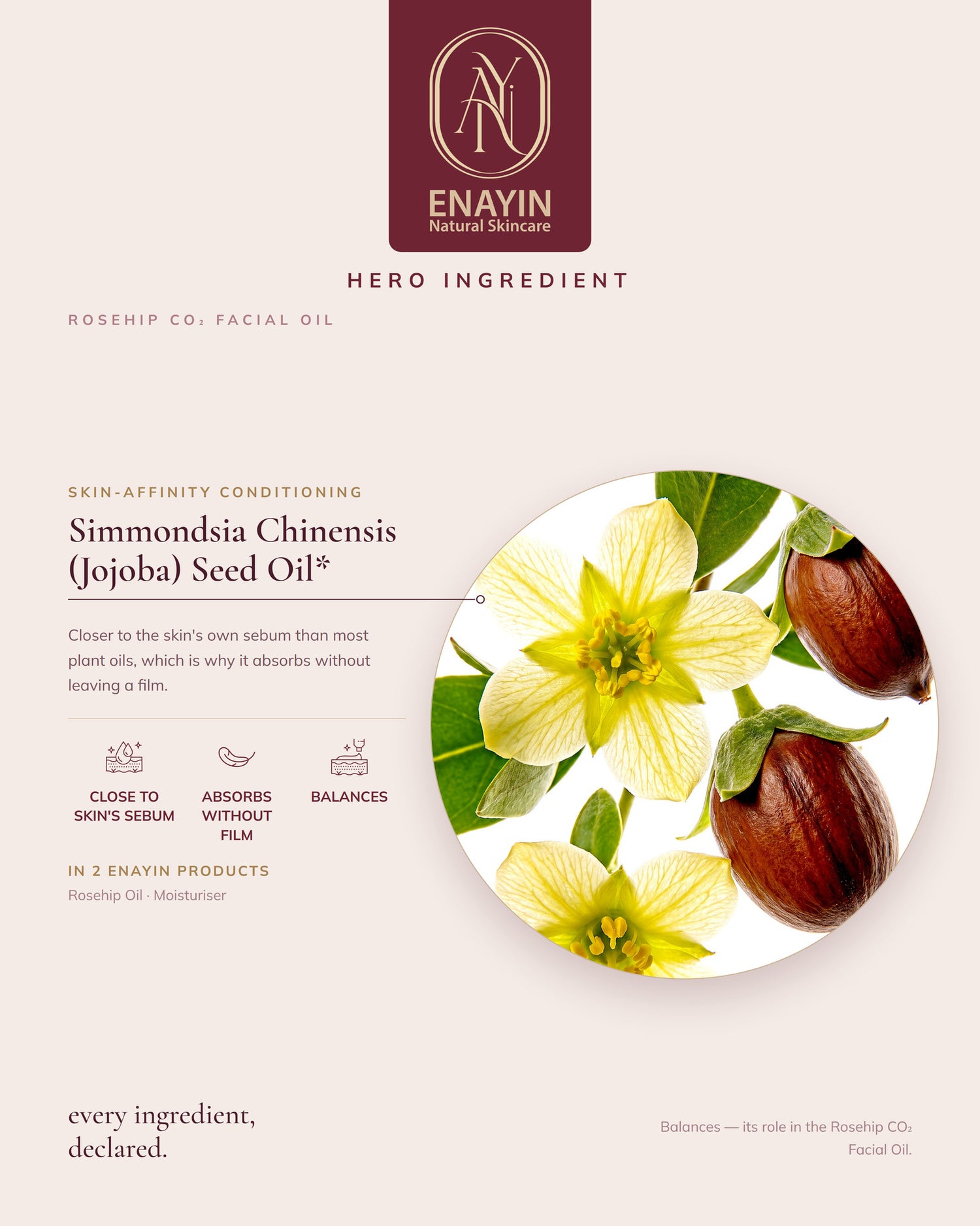 Rosehip CO2 Facial Oil