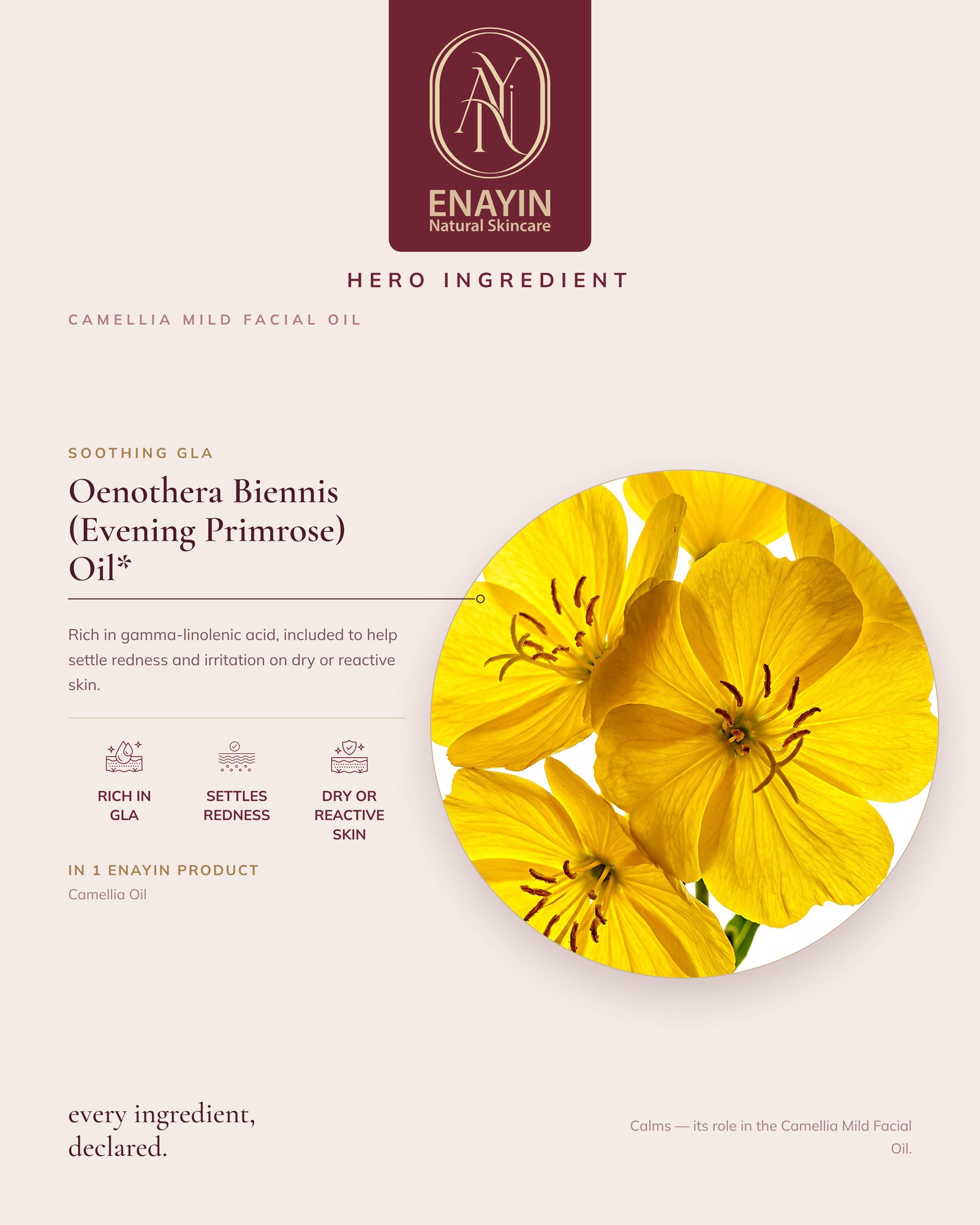 Camellia Mild Facial Oil