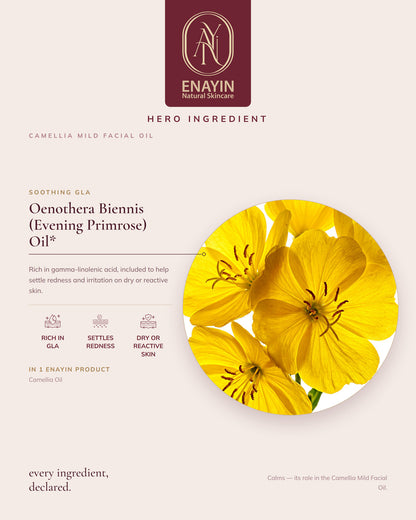 Camellia Mild Facial Oil