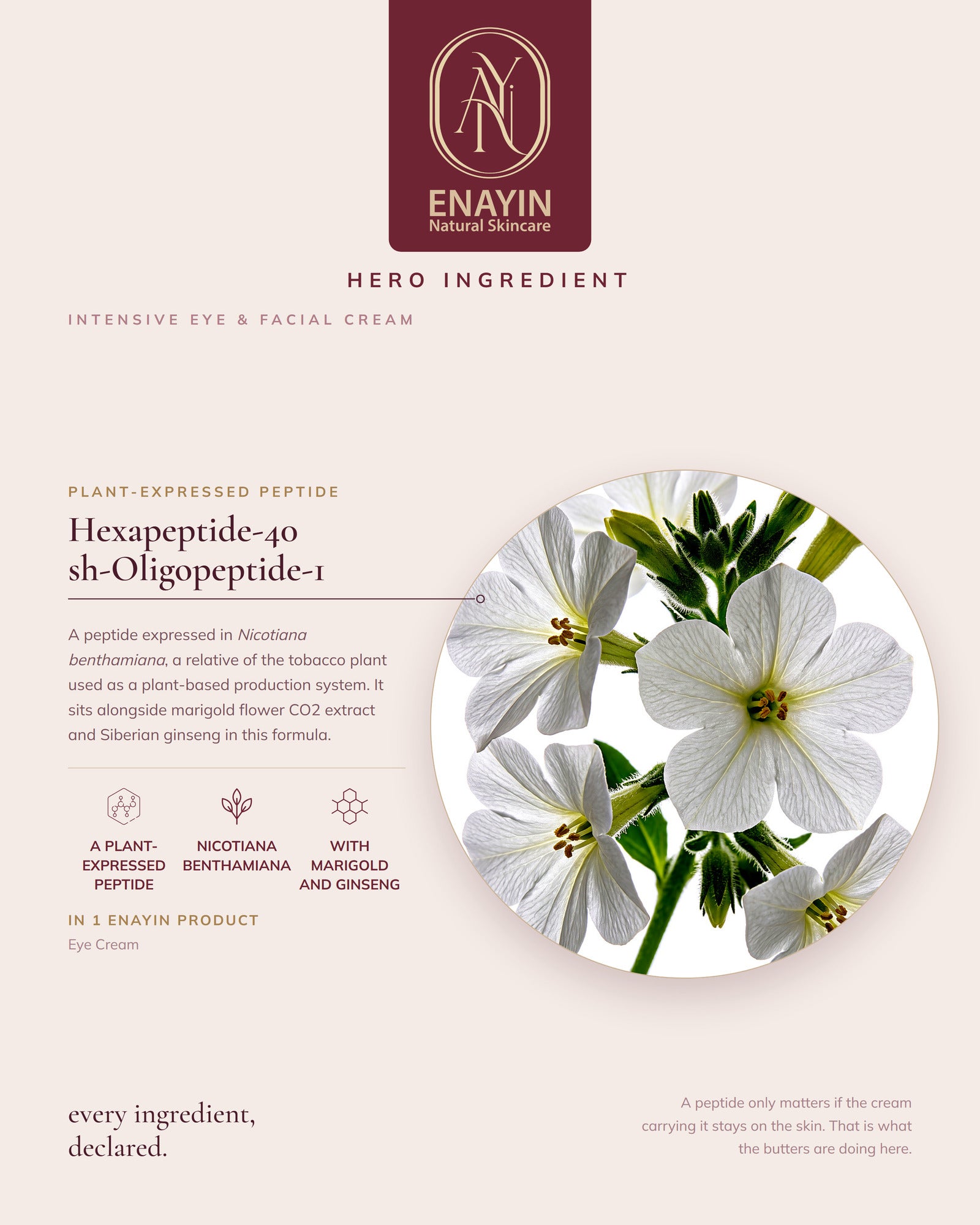 Intensive Eye &amp; Facial Cream