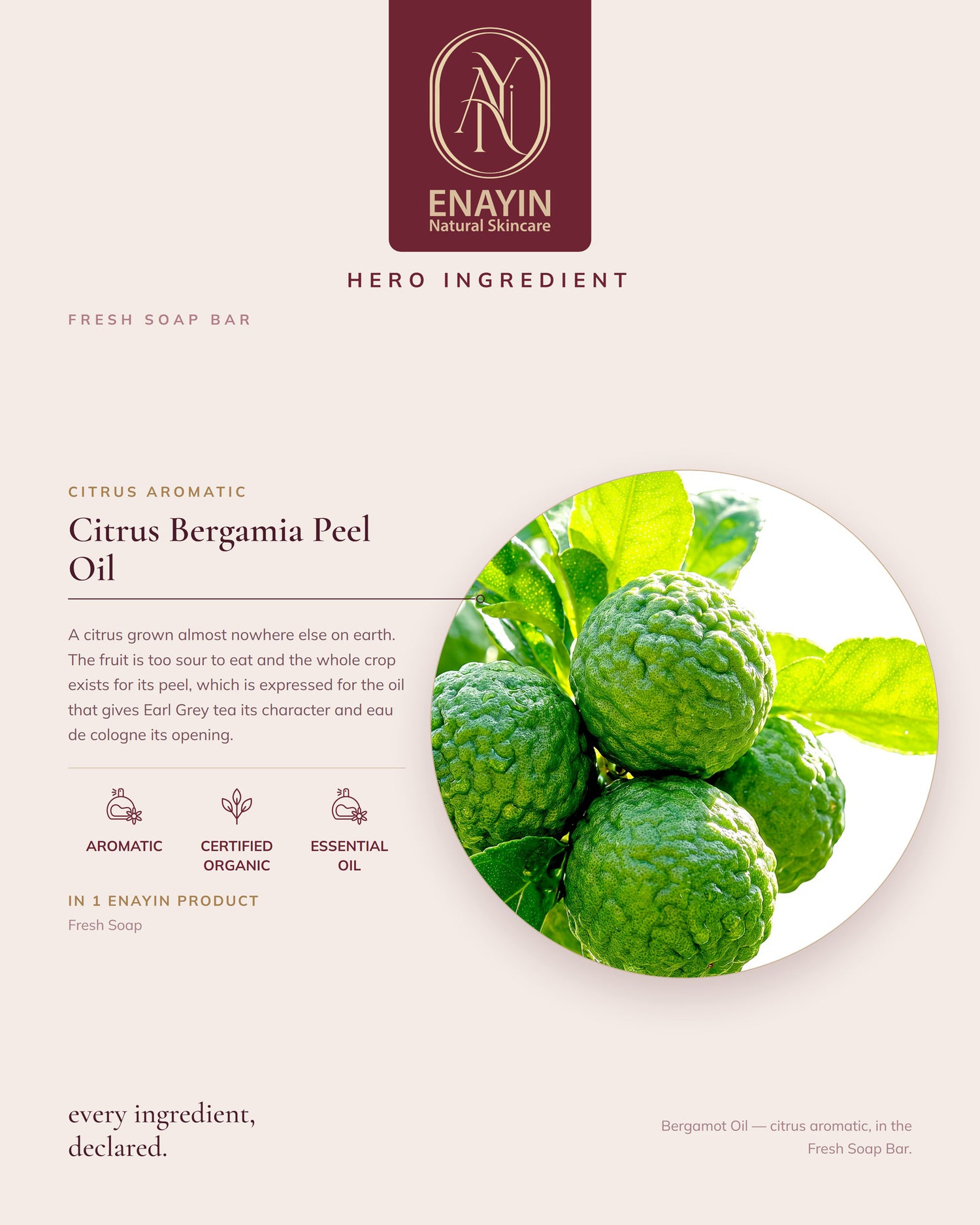 Fresh Soap Bar