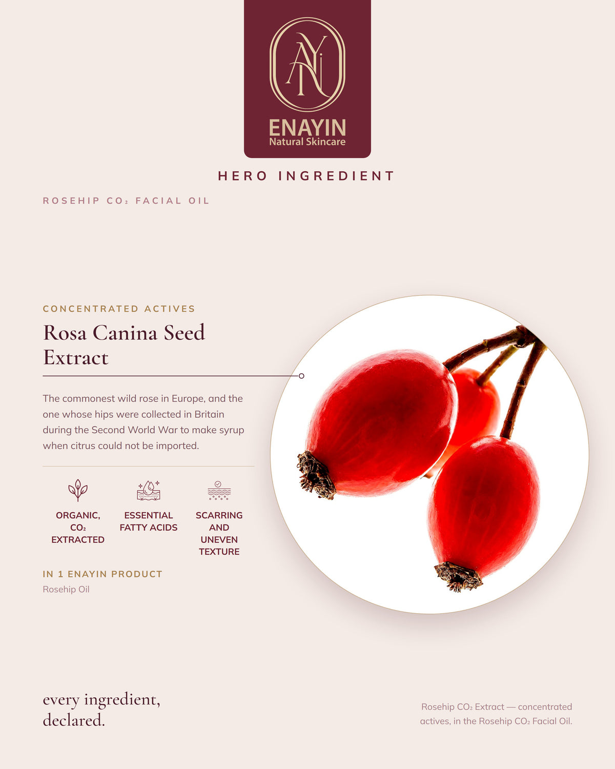 Rosehip CO2 Facial Oil