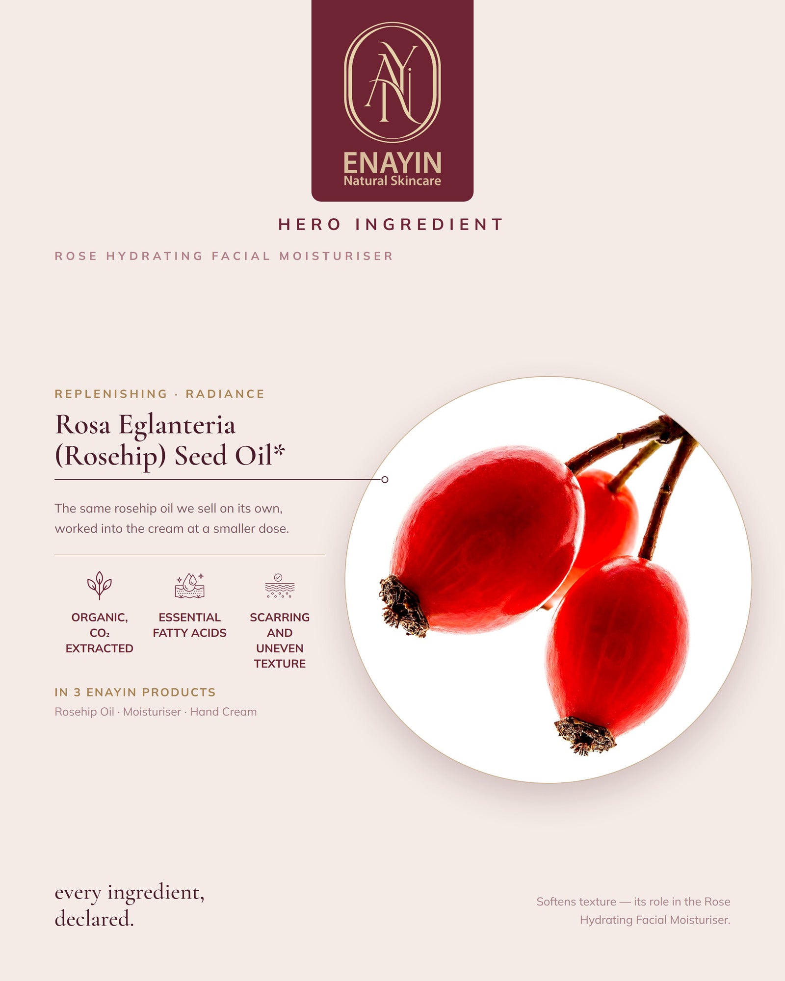 Rose Hydrating Facial Moisturiser