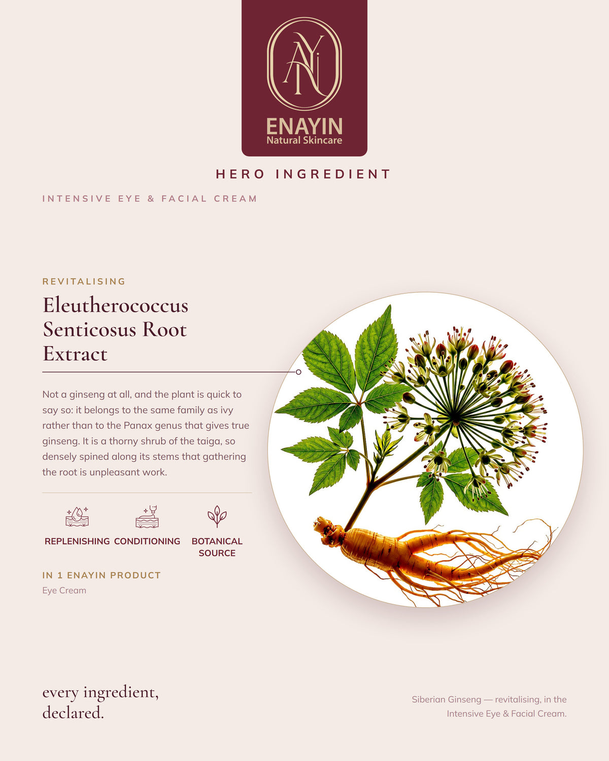 Intensive Eye &amp; Facial Cream