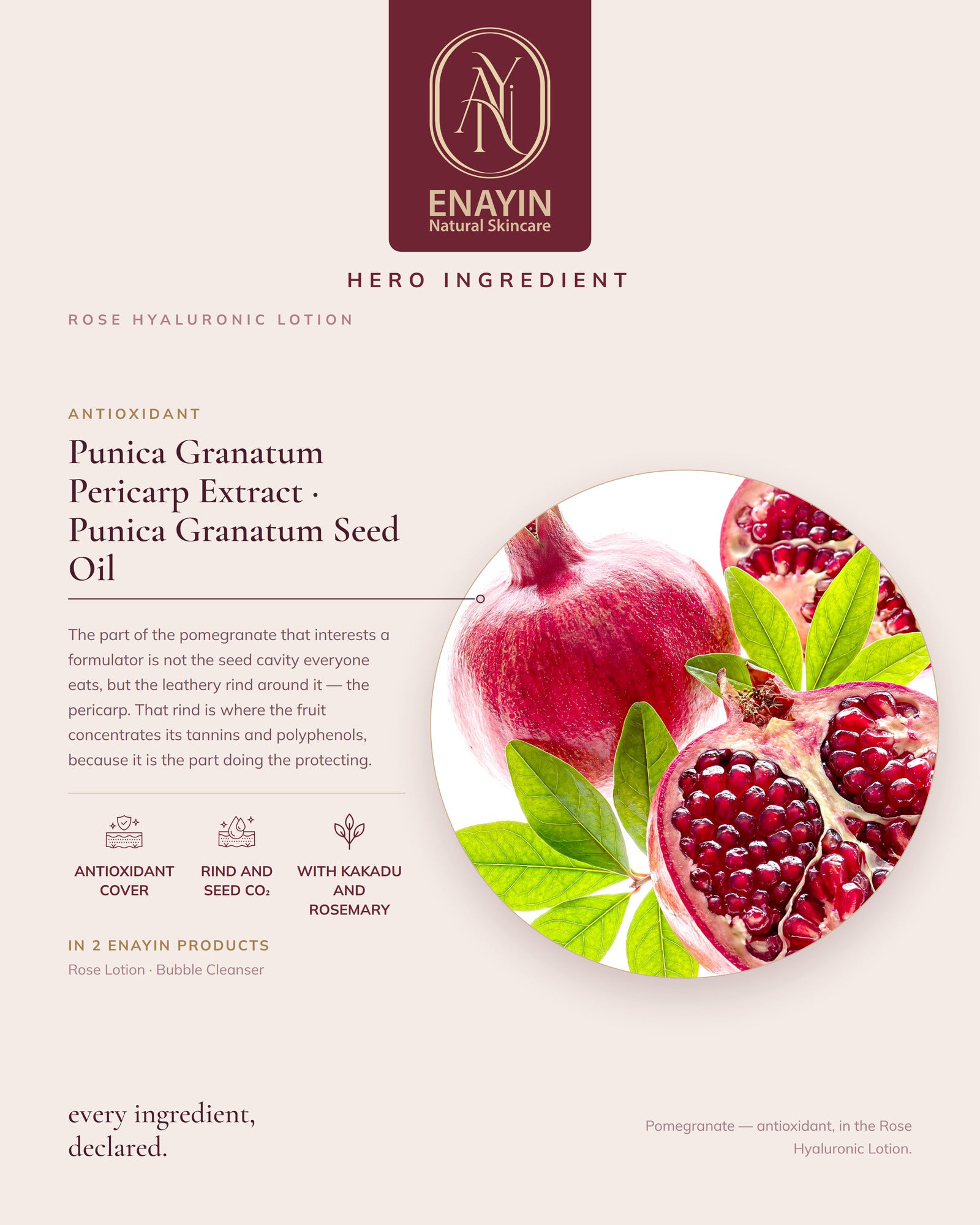 Rose Hyaluronic Lotion