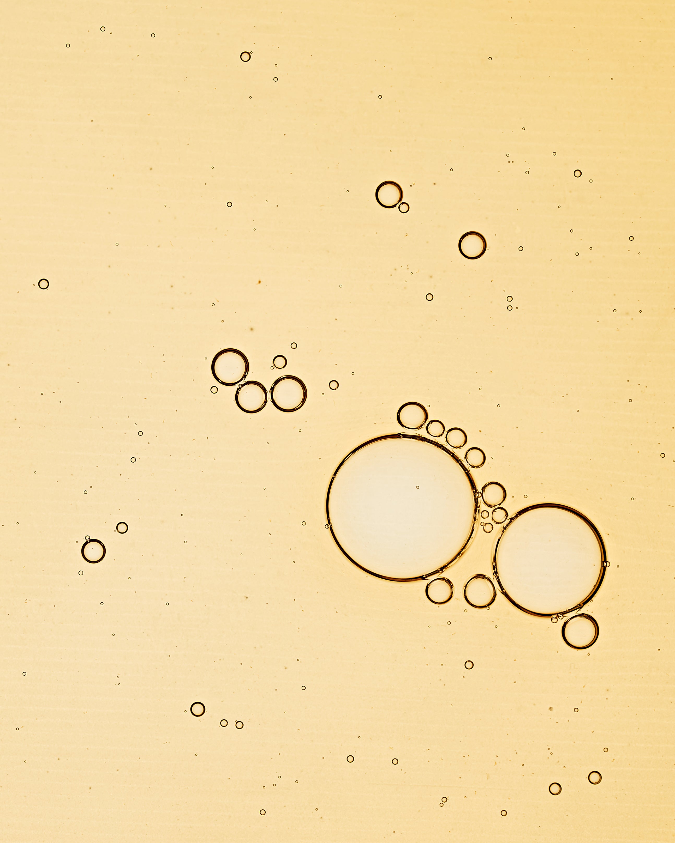 Rose Hydrating Facial Toner