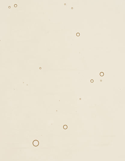 Rose Hyaluronic Serum